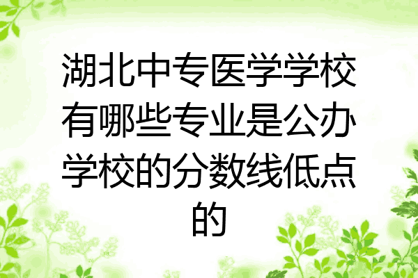 湖北中专医学学校有哪些专业是公办学校的分数线低点的