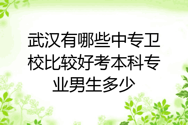 武汉有哪些中专卫校比较好考本科专业男生多少