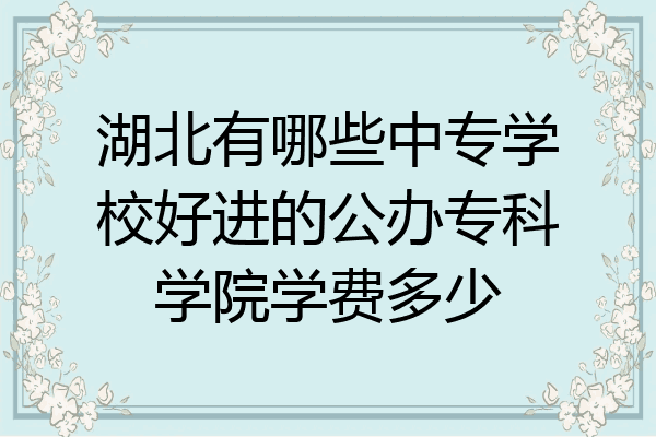 湖北有哪些中专学校好进的公办专科学院学费多少