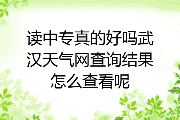 读中专真的好吗武汉天气网查询结果怎么查看呢