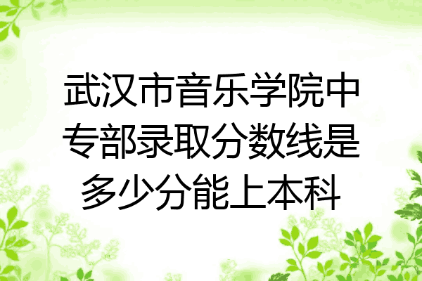 武汉市音乐学院中专部录取分数线是多少分能上本科