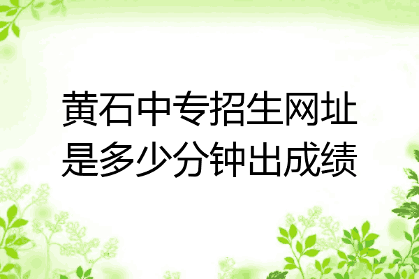 黄石中专招生网址是多少分钟出成绩