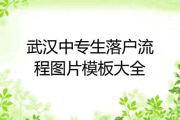 武汉中专生落户流程图片模板大全