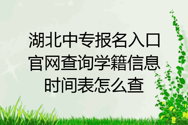 湖北中专报名入口官网查询学籍信息时间表怎么查