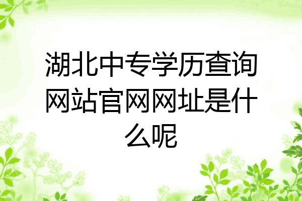 湖北中专学历查询网站官网网址是什么呢