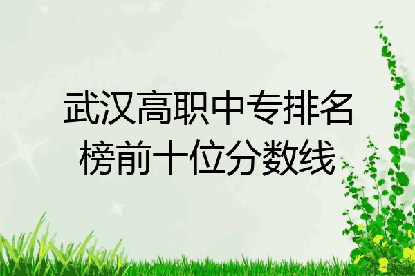 武汉高职中专排名榜前十位分数线