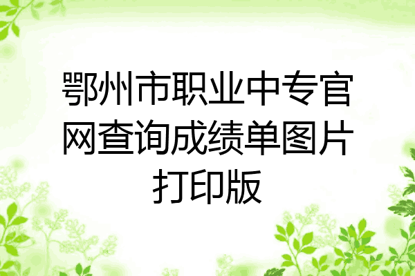 鄂州市职业中专官网查询成绩单图片打印版