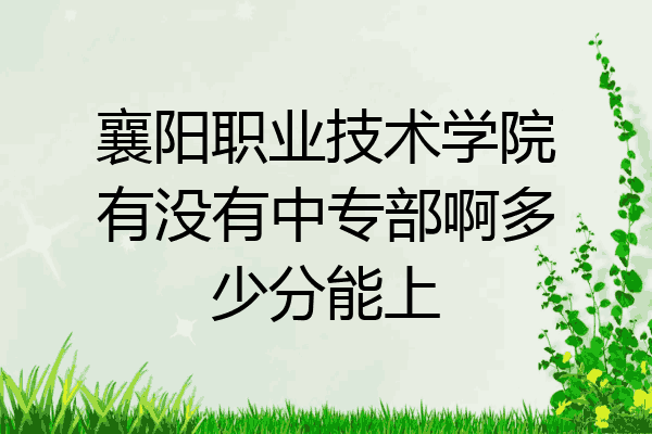 襄阳职业技术学院有没有中专部啊多少分能上