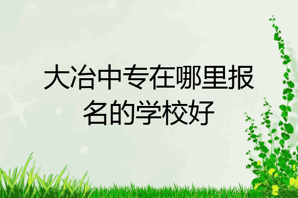 大冶中专在哪里报名的学校好