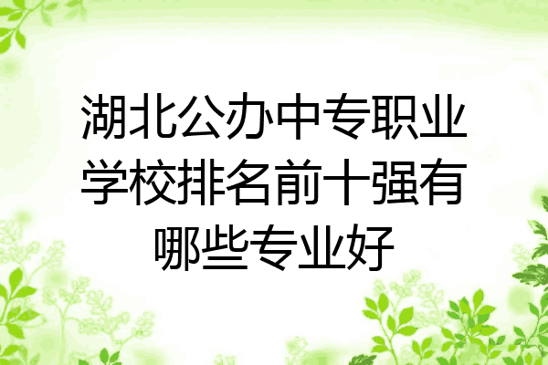 湖北公办中专职业学校排名前十强有哪些专业好