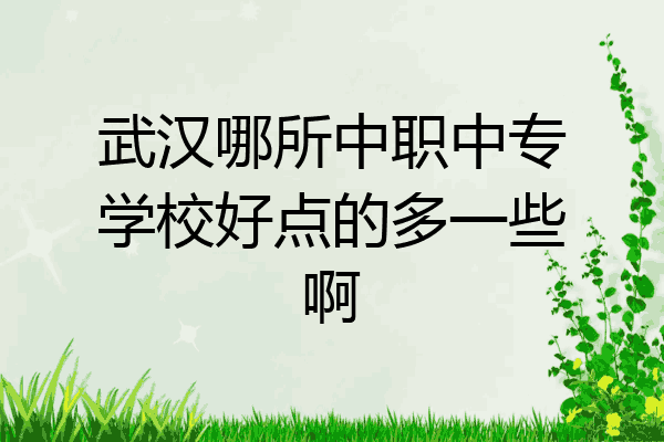 武汉哪所中职中专学校好点的多一些啊