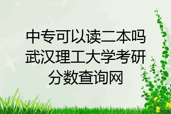 中专可以读二本吗武汉理工大学考研分数查询网