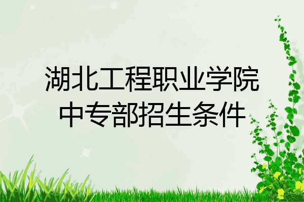 湖北工程职业学院中专部招生条件