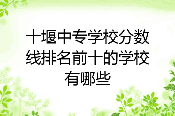 十堰中专学校分数线排名前十的学校有哪些