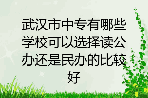 武汉市中专有哪些学校可以选择读公办还是民办的比较好