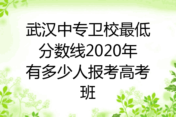 武汉中专卫校最低分数线2020年有多少人报考高考班