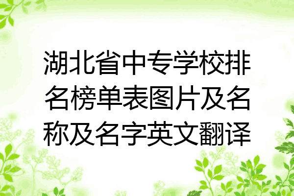 湖北省中专学校排名榜单表图片及名称及名字英文翻译