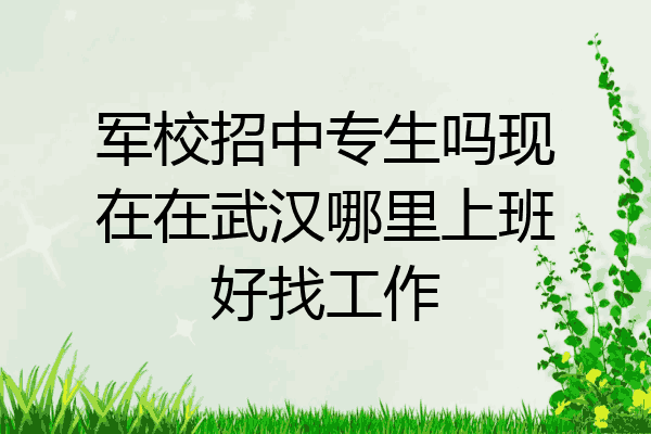 军校招中专生吗现在在武汉哪里上班好找工作