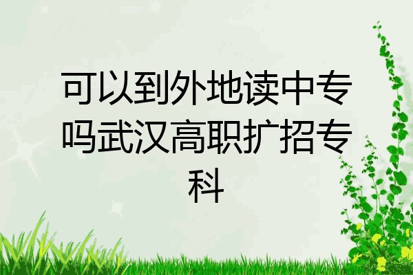 可以到外地读中专吗武汉高职扩招专科