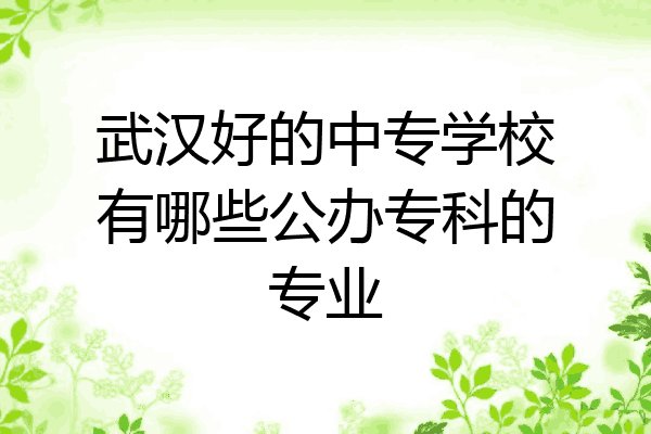 武汉好的中专学校有哪些公办专科的专业