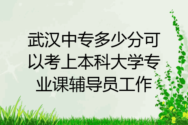 武汉中专多少分可以考上本科大学专业课辅导员工作