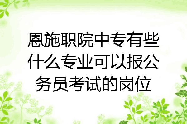 恩施职院中专有些什么专业可以报公务员考试的岗位