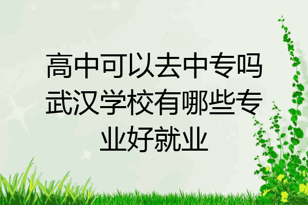 高中可以去中专吗武汉学校有哪些专业好就业