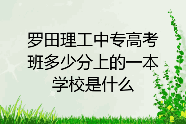 罗田理工中专高考班多少分上的一本学校是什么