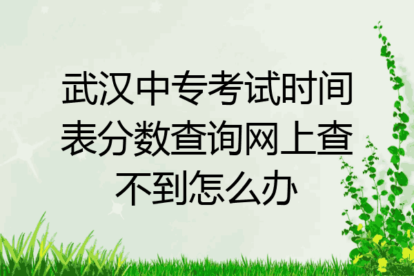 武汉中专考试时间表分数查询网上查不到怎么办