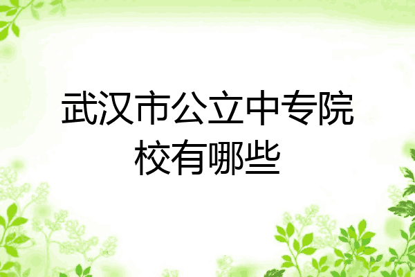 武汉市公立中专院校有哪些