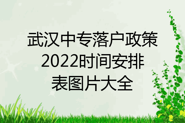 武汉中专落户政策2022时间安排表图片大全