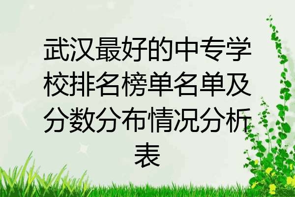 武汉最好的中专学校排名榜单名单及分数分布情况分析表
