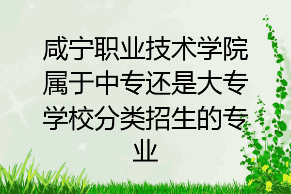 咸宁职业技术学院属于中专还是大专学校分类招生的专业