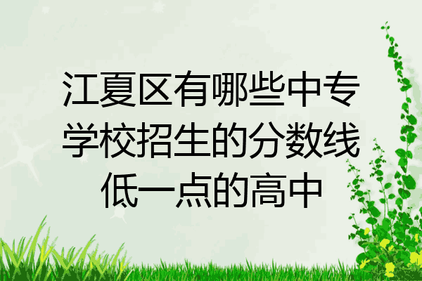 江夏区有哪些中专学校招生的分数线低一点的高中