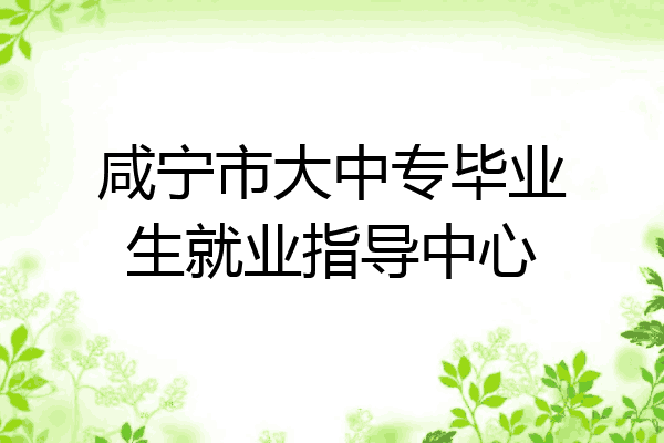 咸宁市大中专毕业生就业指导中心