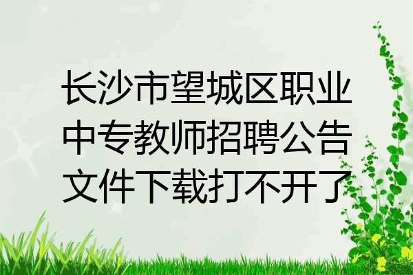 长沙市望城区职业中专教师招聘公告文件下载打不开了