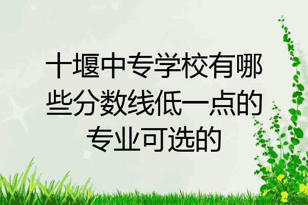 十堰中专学校有哪些分数线低一点的专业可选的
