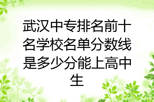 武汉中专排名前十名学校名单分数线是多少分能上高中生