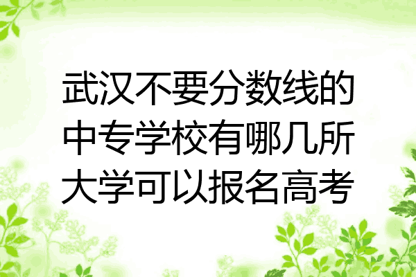 武汉不要分数线的中专学校有哪几所大学可以报名高考
