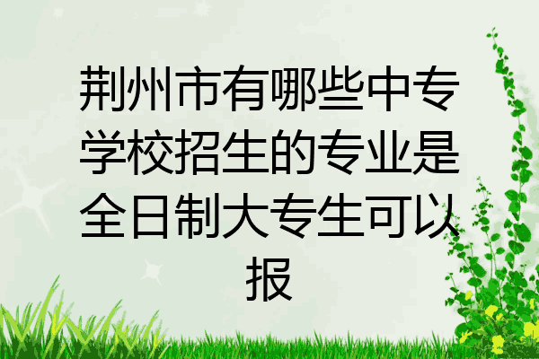 荆州市有哪些中专学校招生的专业是全日制大专生可以报