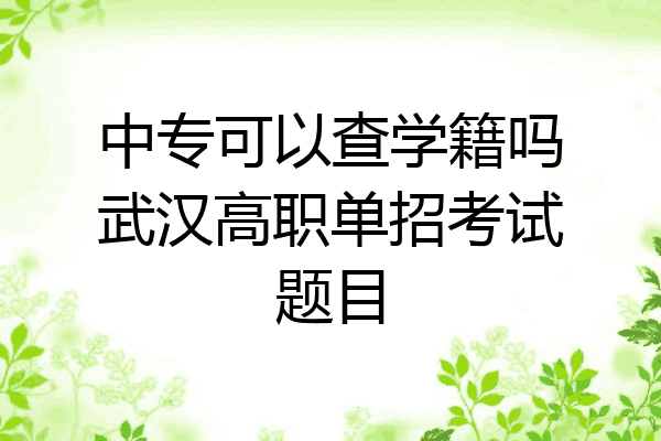 中专可以查学籍吗武汉高职单招考试题目