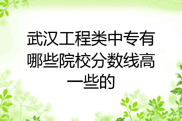 武汉工程类中专有哪些院校分数线高一些的
