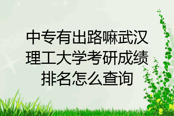 中专有出路嘛武汉理工大学考研成绩排名怎么查询