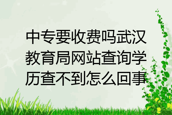 中专要收费吗武汉教育局网站查询学历查不到怎么回事