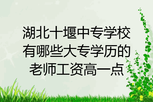 湖北十堰中专学校有哪些大专学历的老师工资高一点