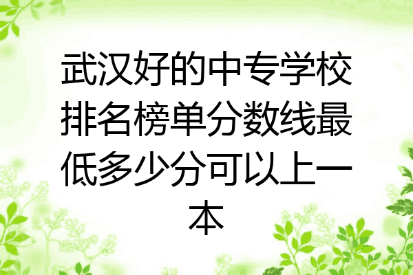 武汉好的中专学校排名榜单分数线最低多少分可以上一本