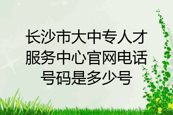 长沙市大中专人才服务中心官网电话号码是多少号