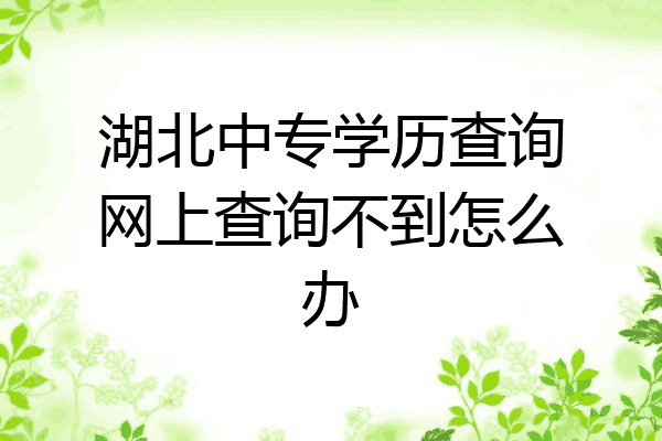湖北中专学历查询网上查询不到怎么办