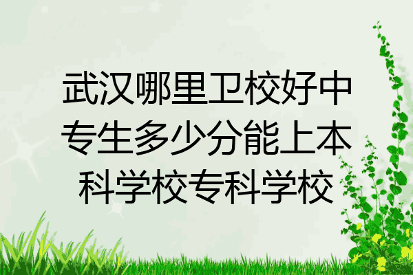 武汉哪里卫校好中专生多少分能上本科学校专科学校
