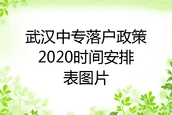 武汉中专落户政策2020时间安排表图片